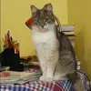 Отзыв от Наталья Черкасова